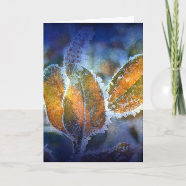 Carte Le froid d'hiver en toutes occasions (Devant)