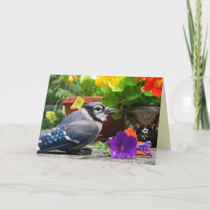 Carte Le geai bleu fleurit le jour de mère