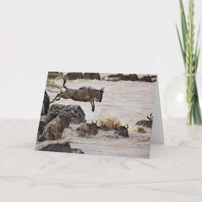 Carte Le gnou sautant dans la rivière de Mara pendant (Devant)