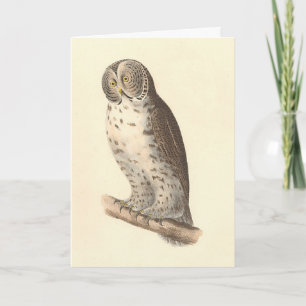 Carte Le grand hibou gris (Strix nebulosa) NY Bird Image