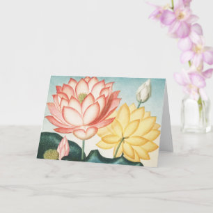 Carte Le haricot égyptien sacré