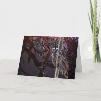 Carte Le hibou de grand gris majestueux