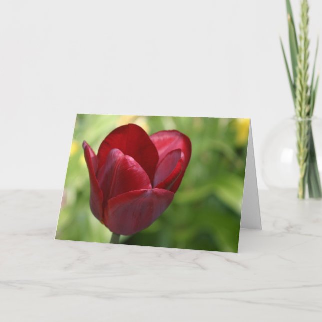 Carte Le Jeton rouge (Devant)