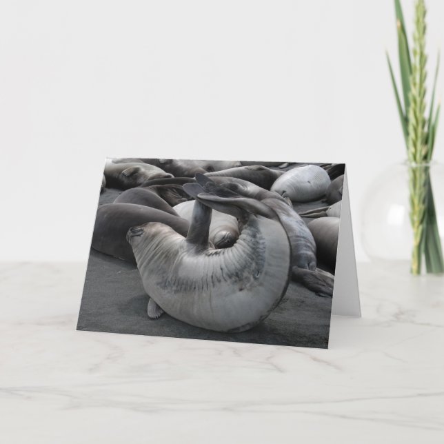 Carte Le joint de sirène (Devant)