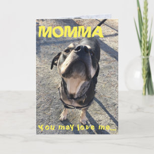 Carte Le jour de mère léchant du chien