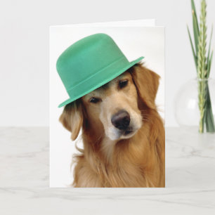 Carte Le jour de St Patrick de golden retriever