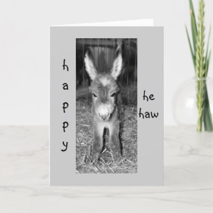 CARTE LE JOYAU DE DONKEY BABY SAY