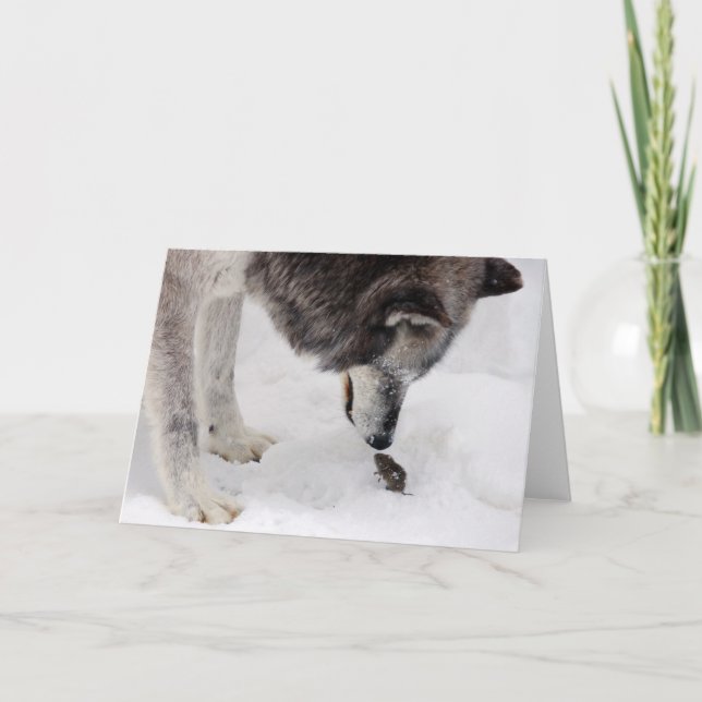 Carte Le loup rencontre la souris (Devant)