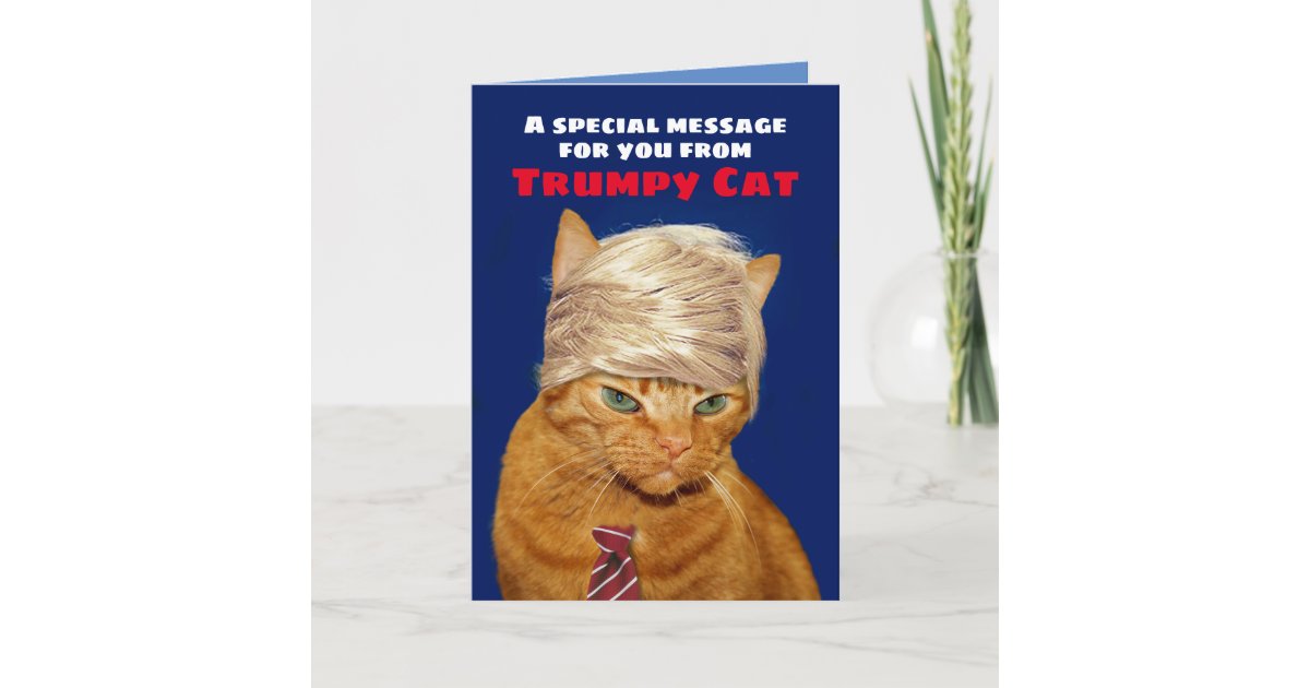 Carte Le Message D Anniversaire De La Chatte Truquee Zazzle Fr