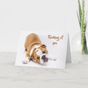 Carte Le mignon Bulldog, pensez à vous