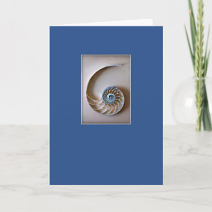 Carte Le Nautilus Shell sectionnent