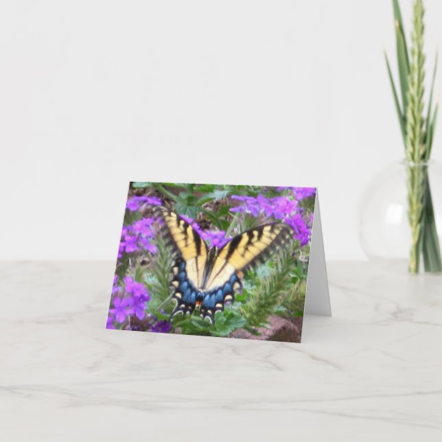 Carte Le papillon honore mon jardin (Devant)