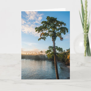 Carte Le paradis tropical au coucher du soleil, Fidji