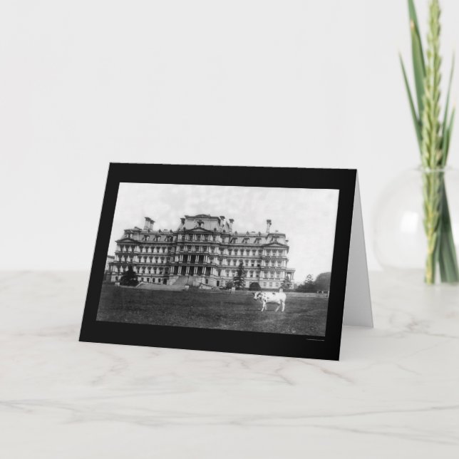 Carte Le pâturage de la vache de Taft près de l'édifice  (Devant)