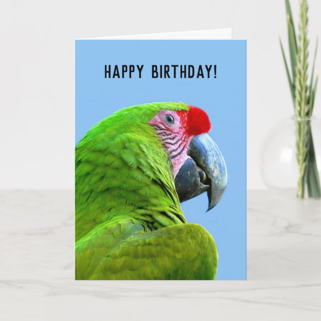 Carte Le perroquet vert d'Ara Militaris (Devant)