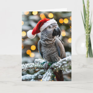 Carte Le petit aide africain gris de Santa 