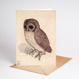Carte Le Petit hibou   Albrecht Dürer