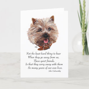 Carte Le pont Rainbow de Cairn Terrier