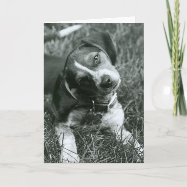 Carte Le regard (Devant)