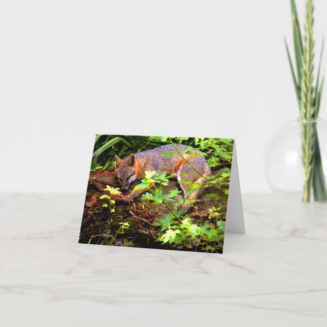 CARTE LE RENARD DE MAMAN PREND UN PETIT SOMME (Devant)