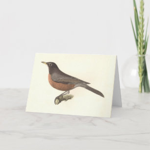 Carte Le Robin américain (Turdus migratorius) NY Birds