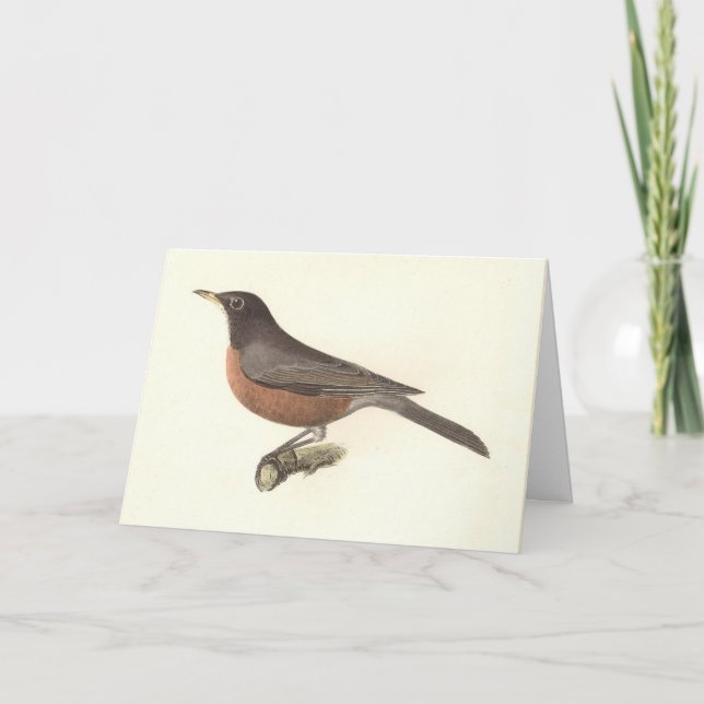 Carte Le Robin américain (Turdus migratorius) NY Birds (Devant)