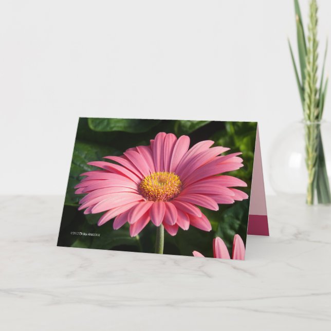 Carte Le rose est pour l'amour (Devant)