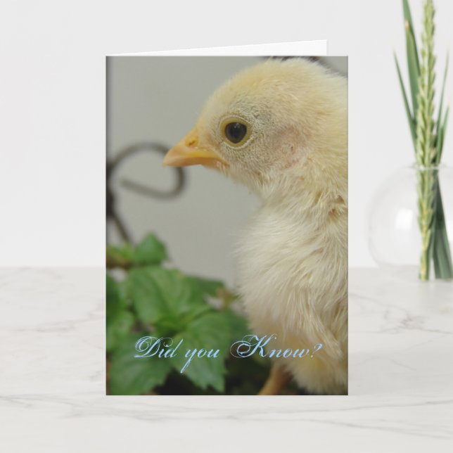 Carte Le saviez-vous? Un Hot Chick, anniversaire (Devant)