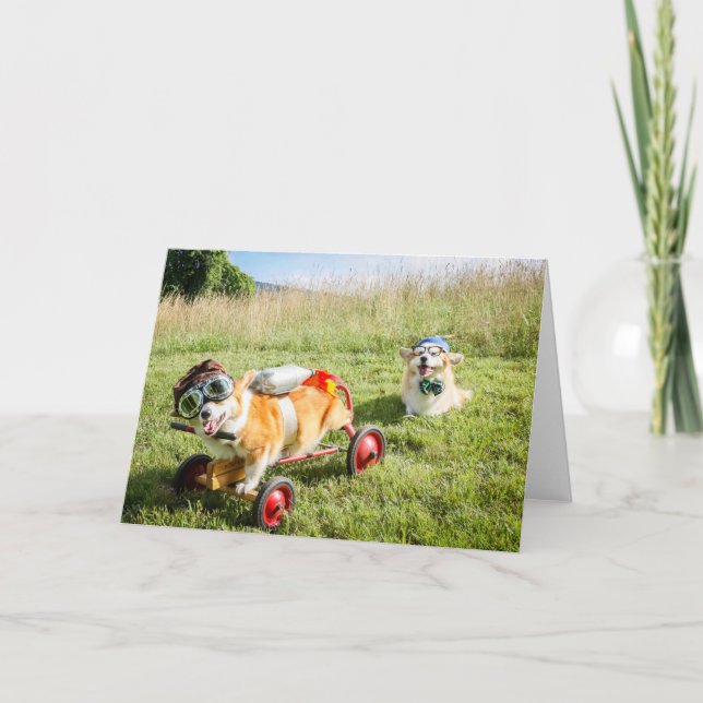 Carte Le scientifique Corgis sur une colline saluant en  (Devant)