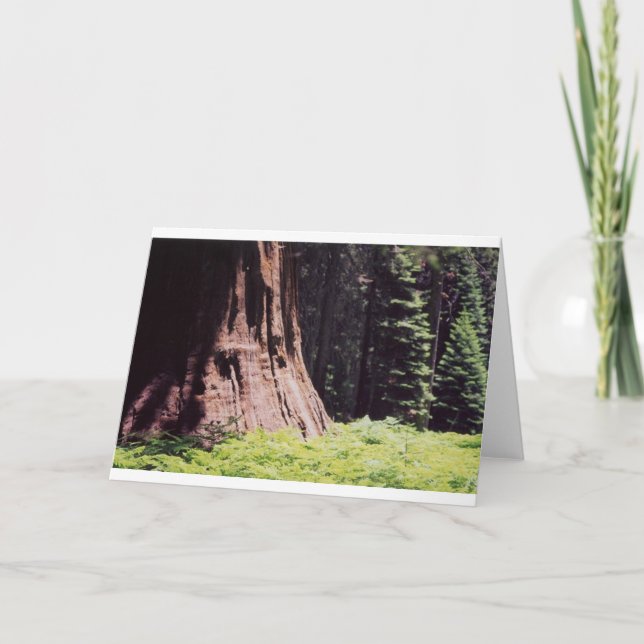 Carte Le séquoia puissant (Devant)