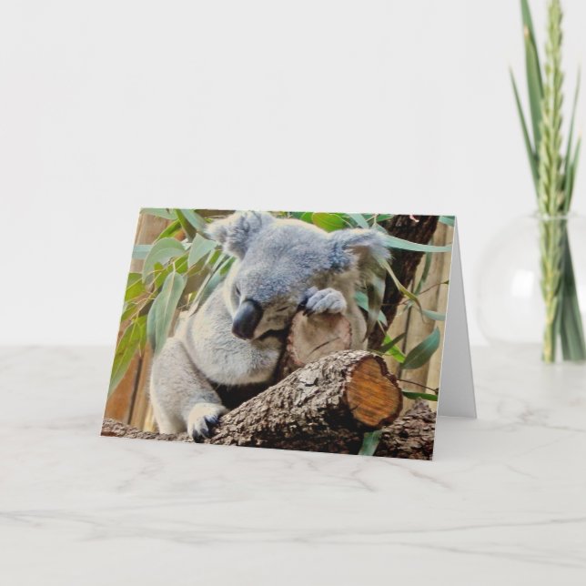 Carte Le sommeil d'ours de koala obtiennent bien (Devant)