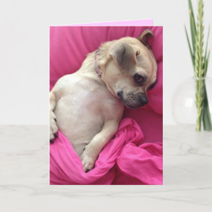 Carte Le souffle mignon de chiot dans le rose couvre la
