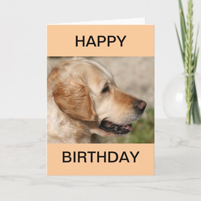 Carte Le sourire du Labrador (Devant)