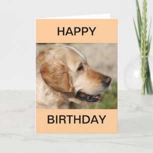 Carte Le sourire du Labrador