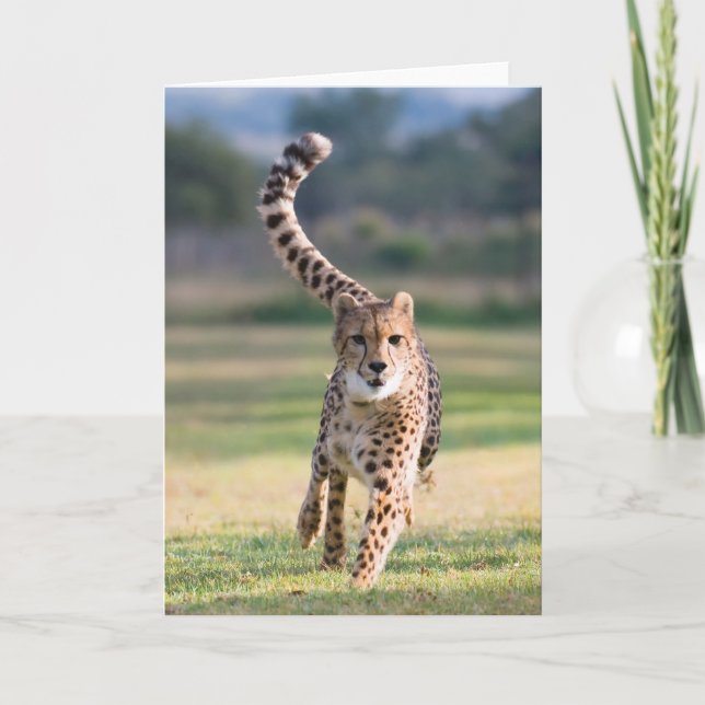 Carte Le sprint (Devant)