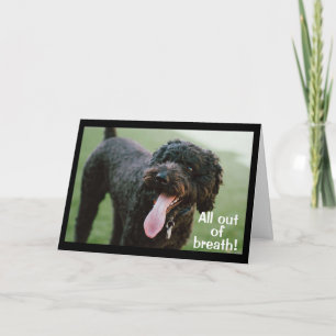 Carte **LE TEMPS DE CÉLÉBRER VOTRE 60e ANNIVERSAIRE**