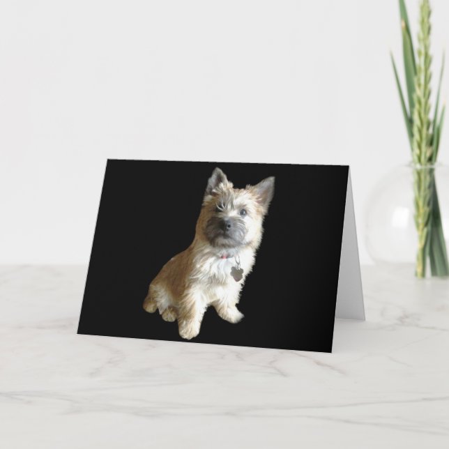 Carte Le Terrier Cutest Jamais ! Plus mignon que Toto ! (Devant)