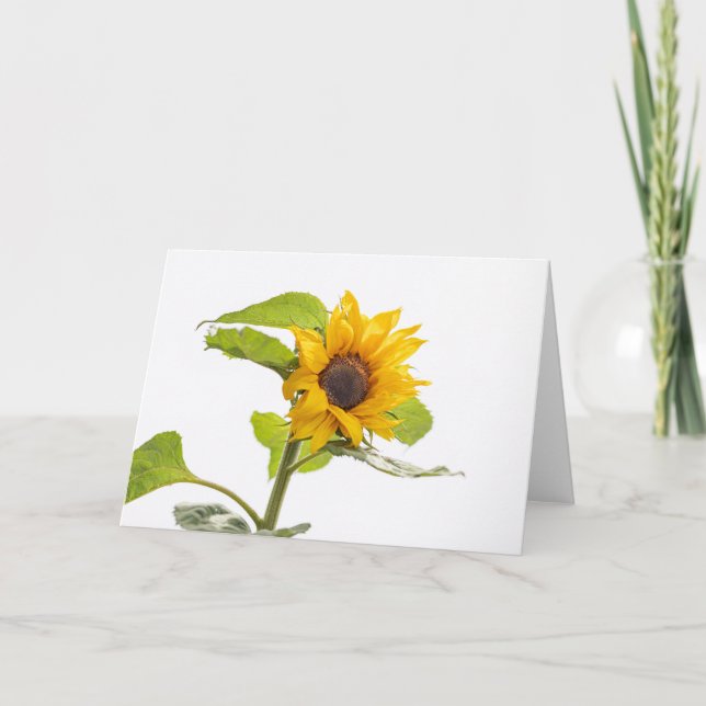 Carte Le tournesol embrasser le ciel (Devant)
