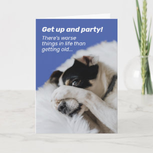 Carte Le visage caché du chien - Il y a pire chose à l'a