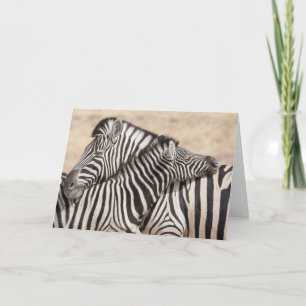 Carte Le zèbre de Burchell