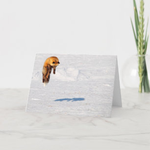 Carte Leap Fox   Yukon, Canada