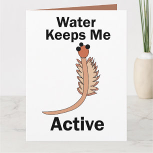 Carte L'eau de crevettes de saumure de Sea Monkeys me ga