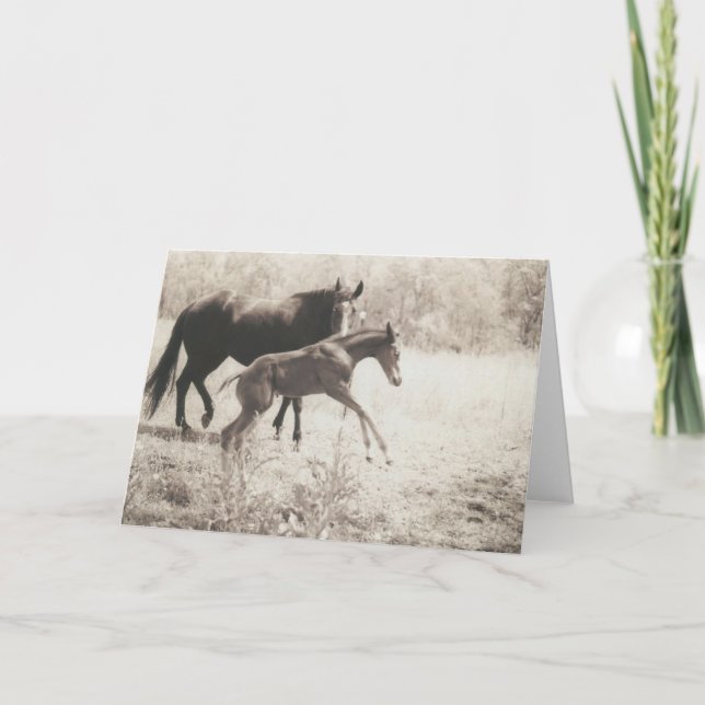 Carte Lecteurs directs (Devant)