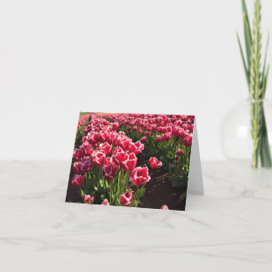 Carte Leen Van Der Mark Tulips, Oregon