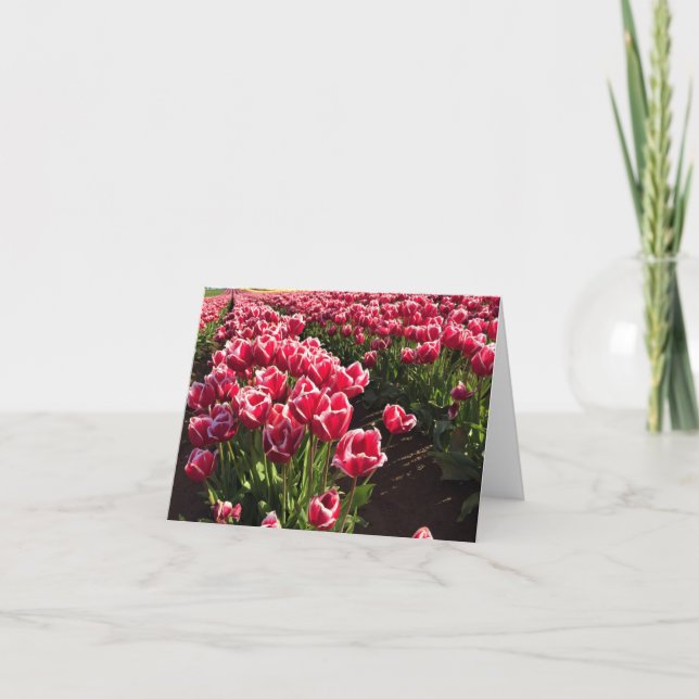 Carte Leen Van Der Mark Tulips, Oregon (Devant)