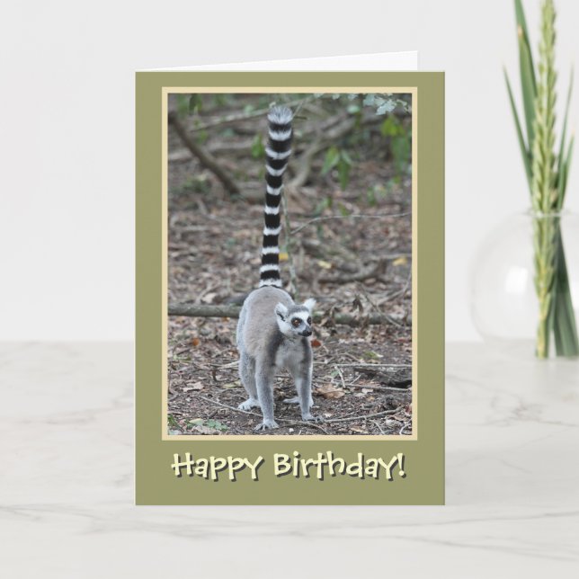 Carte Lemur à la ceinture Joyeux anniversaire (Devant)