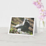 Carte Lémur à queue<br><div class="desc">Ring-tailed lemur Greeting Card. You can easily customize this product for free if you would like to add wording or change the color of the background.</div>