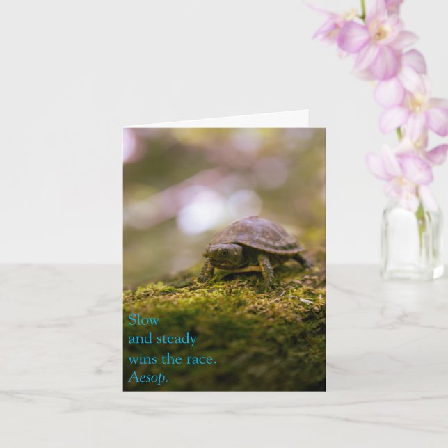 Carte Lent et stable gagne la course - Aesop (Orchidée)