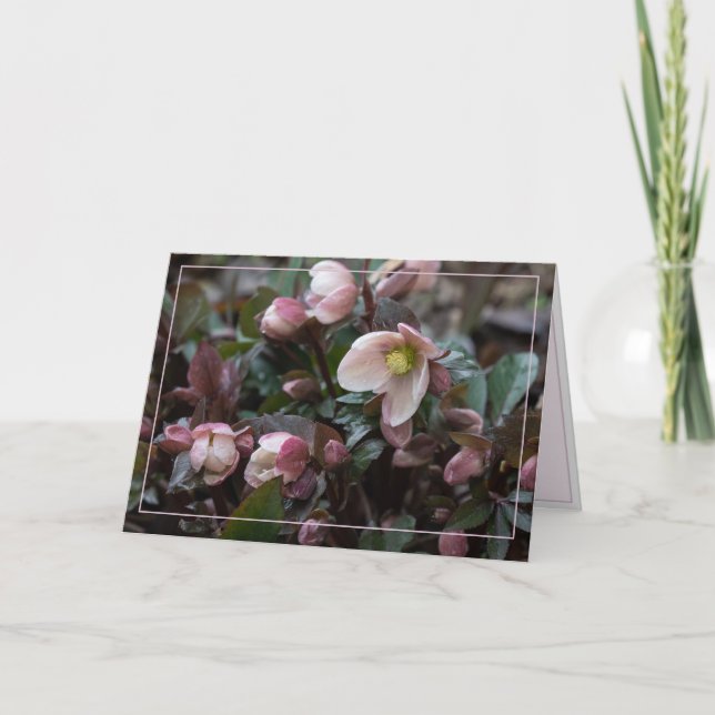Carte Lenten Rose pour mère (Devant)