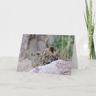 Carte Leopard